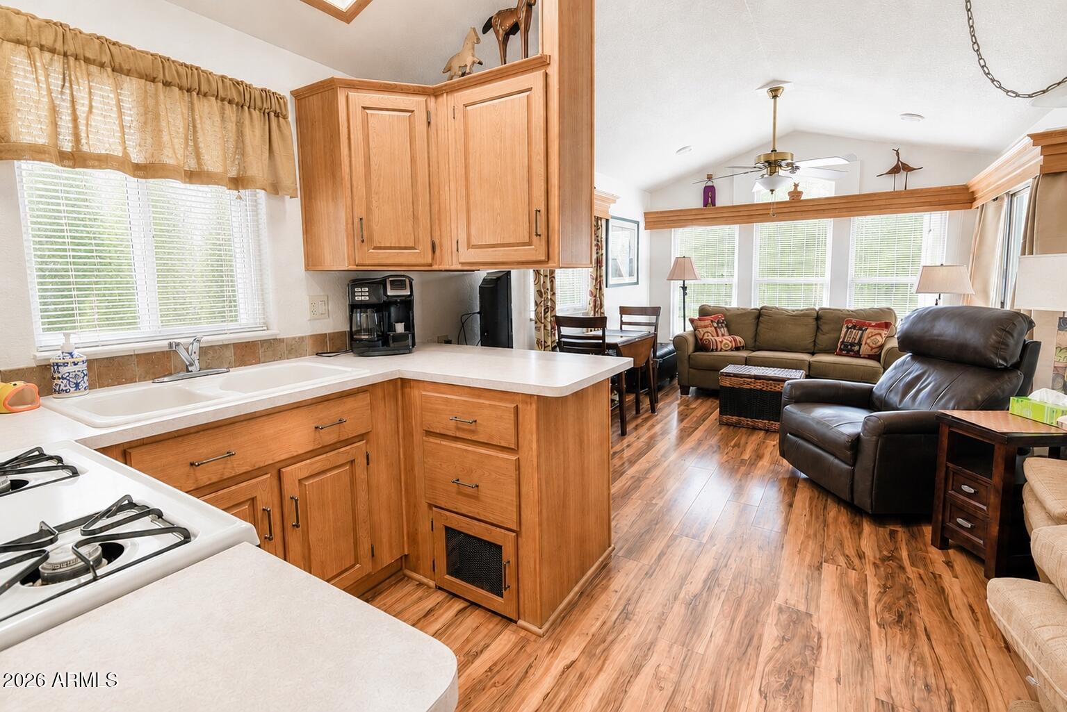 2263 HANGING TREE Lane