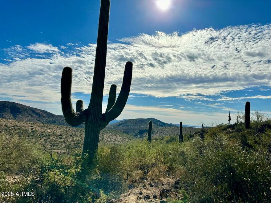 Discover your 5-acre desert retreat just a few miles north of Lake Pleasant and minutes from the world-renowned Castle Hot Springs resort! This rare lot offers panoramic lake and mountain views, and is ideally suited for your dream home, complete with COMPLETED ROADS, BUILDING PADS, AND A FULLY FUNCTIONAL WATER WELL. Yavapai County offers free house plans to simplify your building project. Existing grandfathered structures (RV, barn, and more) add value and flexibility. The Lake Pleasant area is a rapidly growing hub with significant corporate investment nearby. Escape the city and embrace tranquility while staying connected to one of Arizona's most desirable regions.