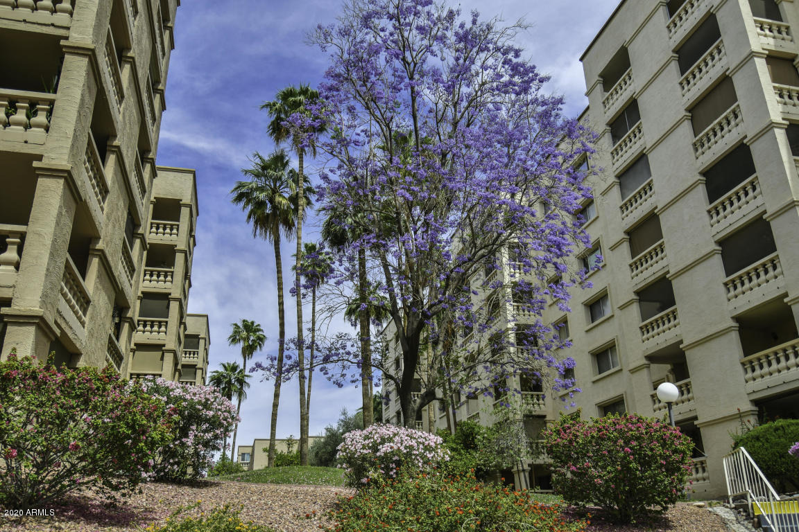7950 E Camelback Road Unit 203