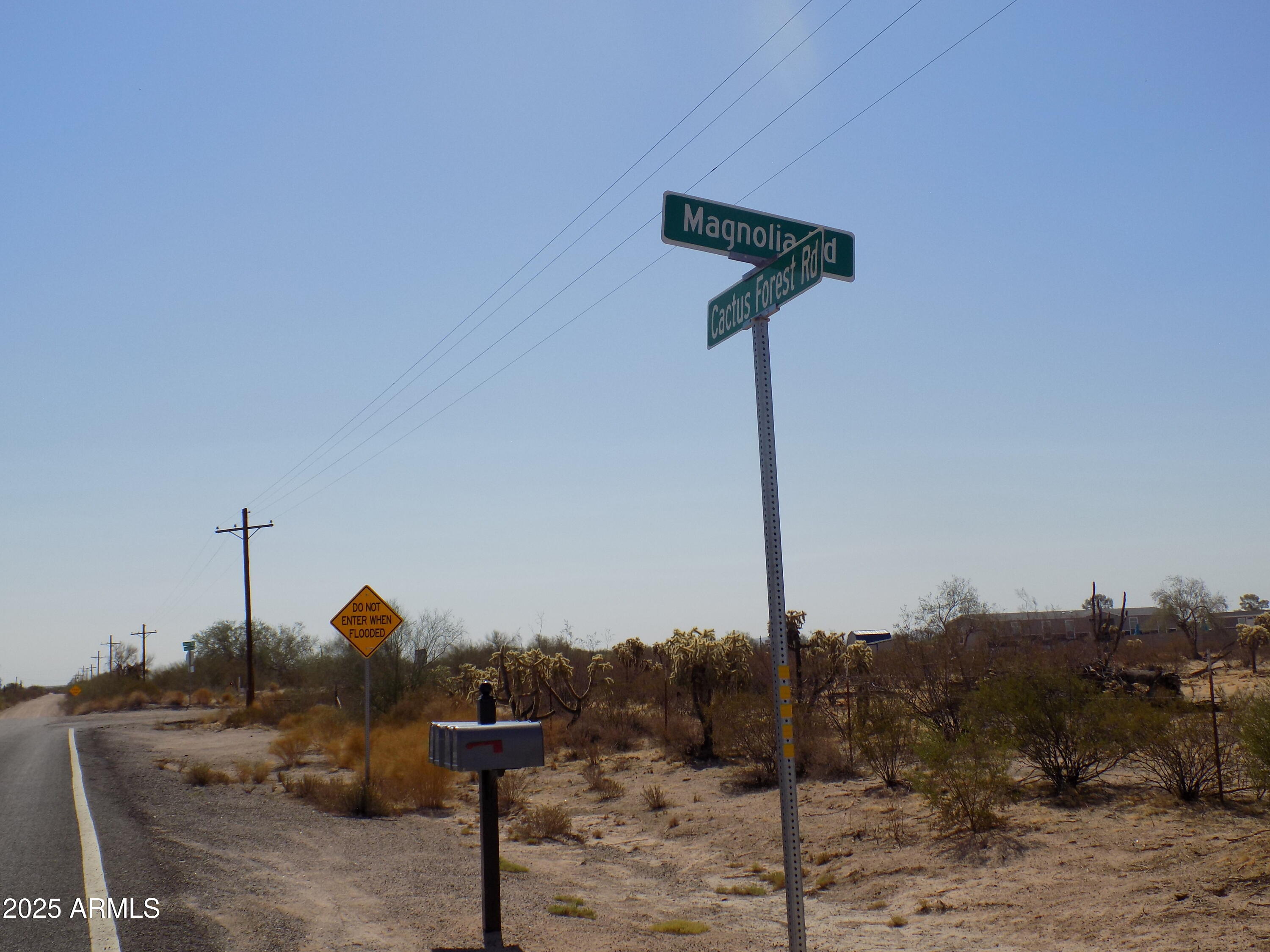 1.25 E TBD-Cactus Forest /N Reed Lot2 Road 2
