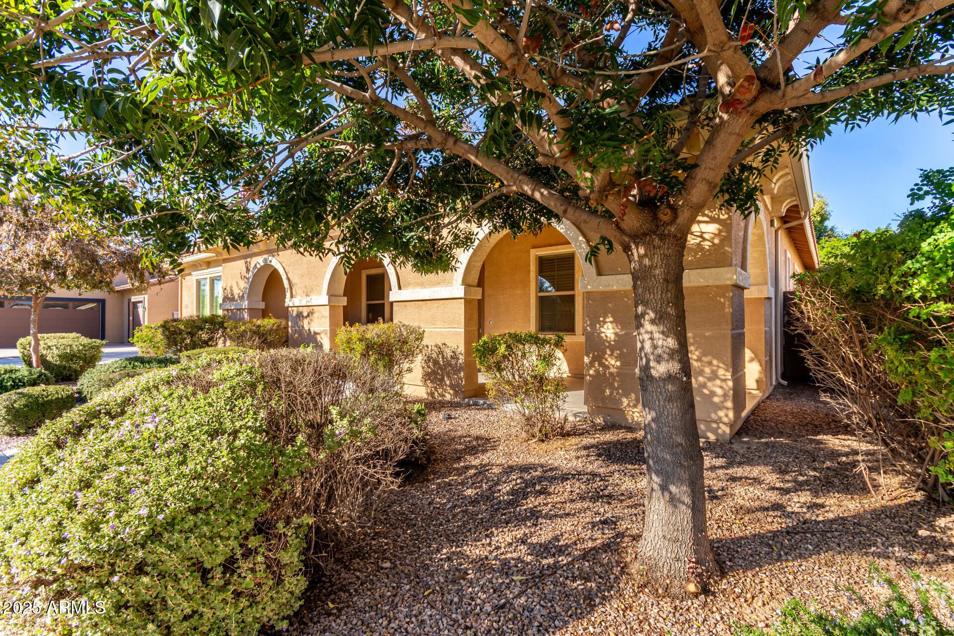 Homes for Sale in Queen Creek Arizona 2 21128 E MISTY Lane