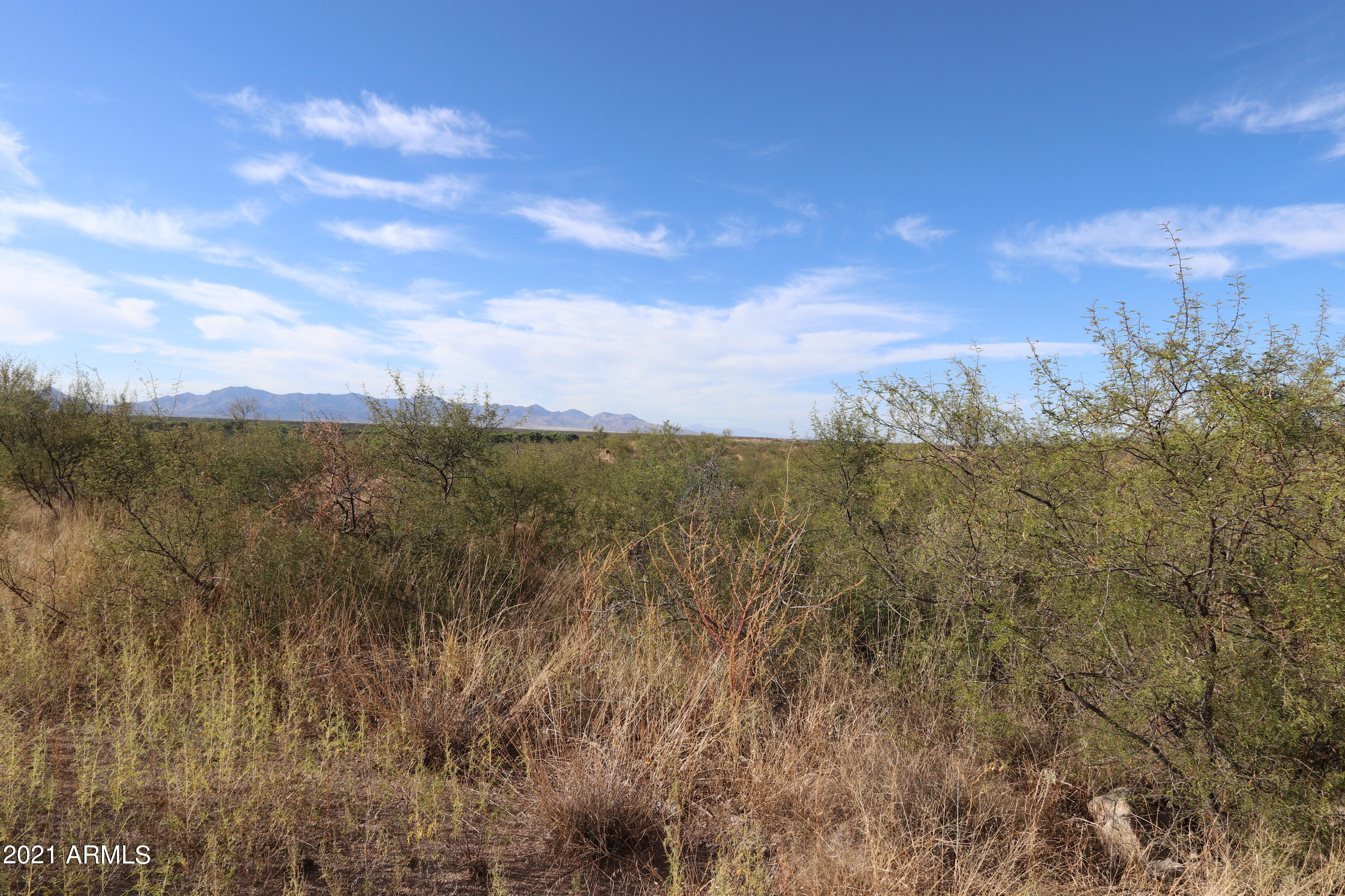 TBD E Charles Trail 2