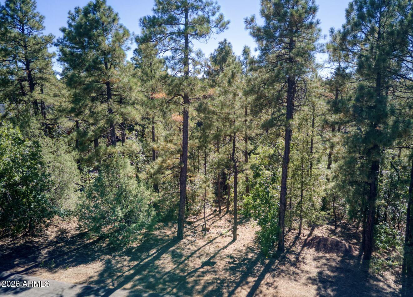 688 PINE CREEK Drive 43