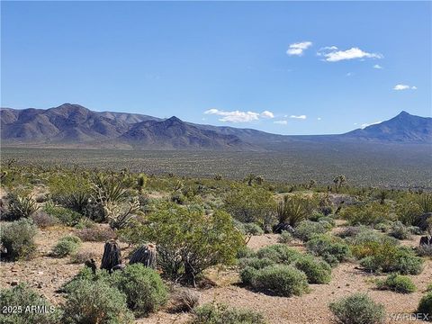 Lot 3076 W Gold Basin Drive 3076 Meadview AZ 86444