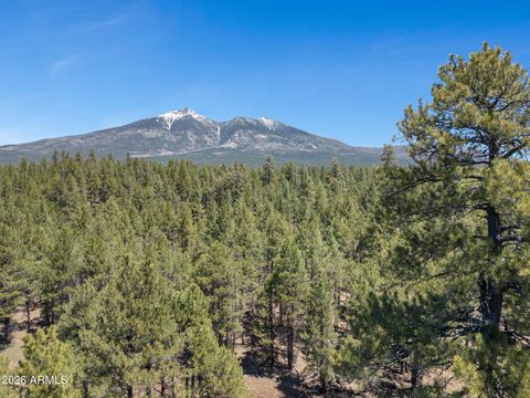 5216 Hidden Hollow Road - Flagstaff AZ 86001