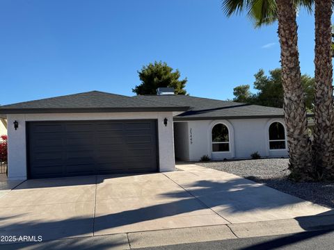 25449 S TRURO Drive Sun Lakes AZ 85248