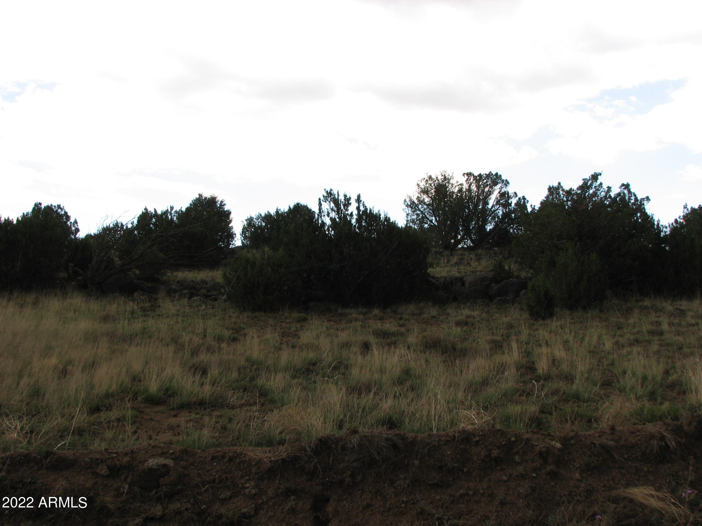 21 & 23 County Road 8001 -- 277 & 278