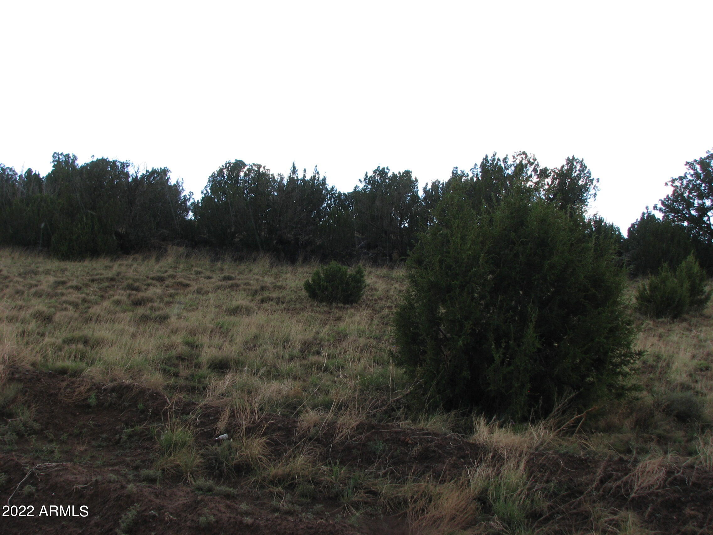 21 & 23 County Road 8001 -- 277 & 278