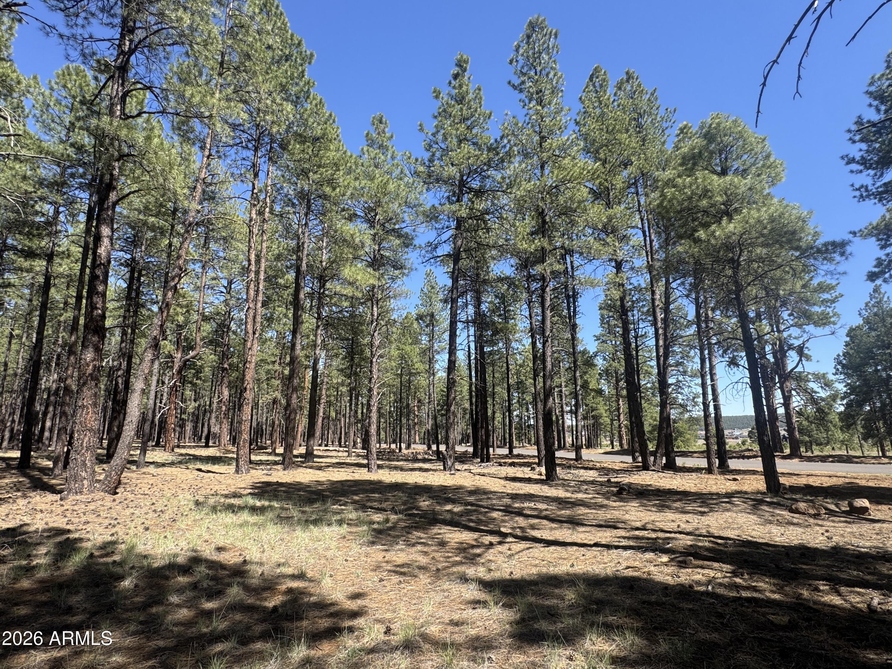 RANCH AT THE PEAKS PHASE 3 - Land