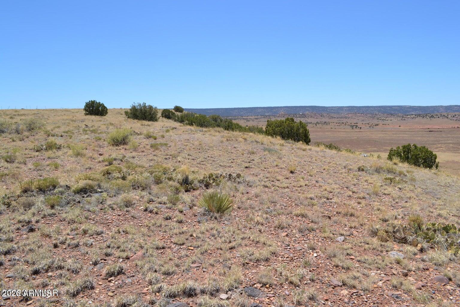 Lot 863 ACR N8497 -- 863