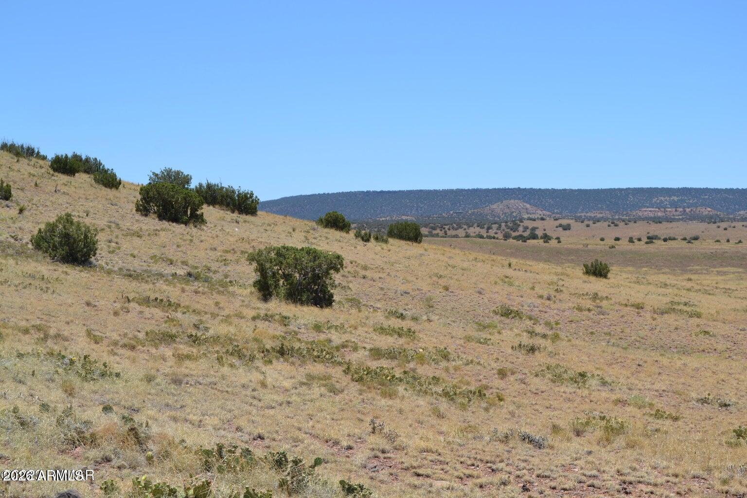 RANCH OF THE WHITE MOUNTAINS UNIT 27 - Land