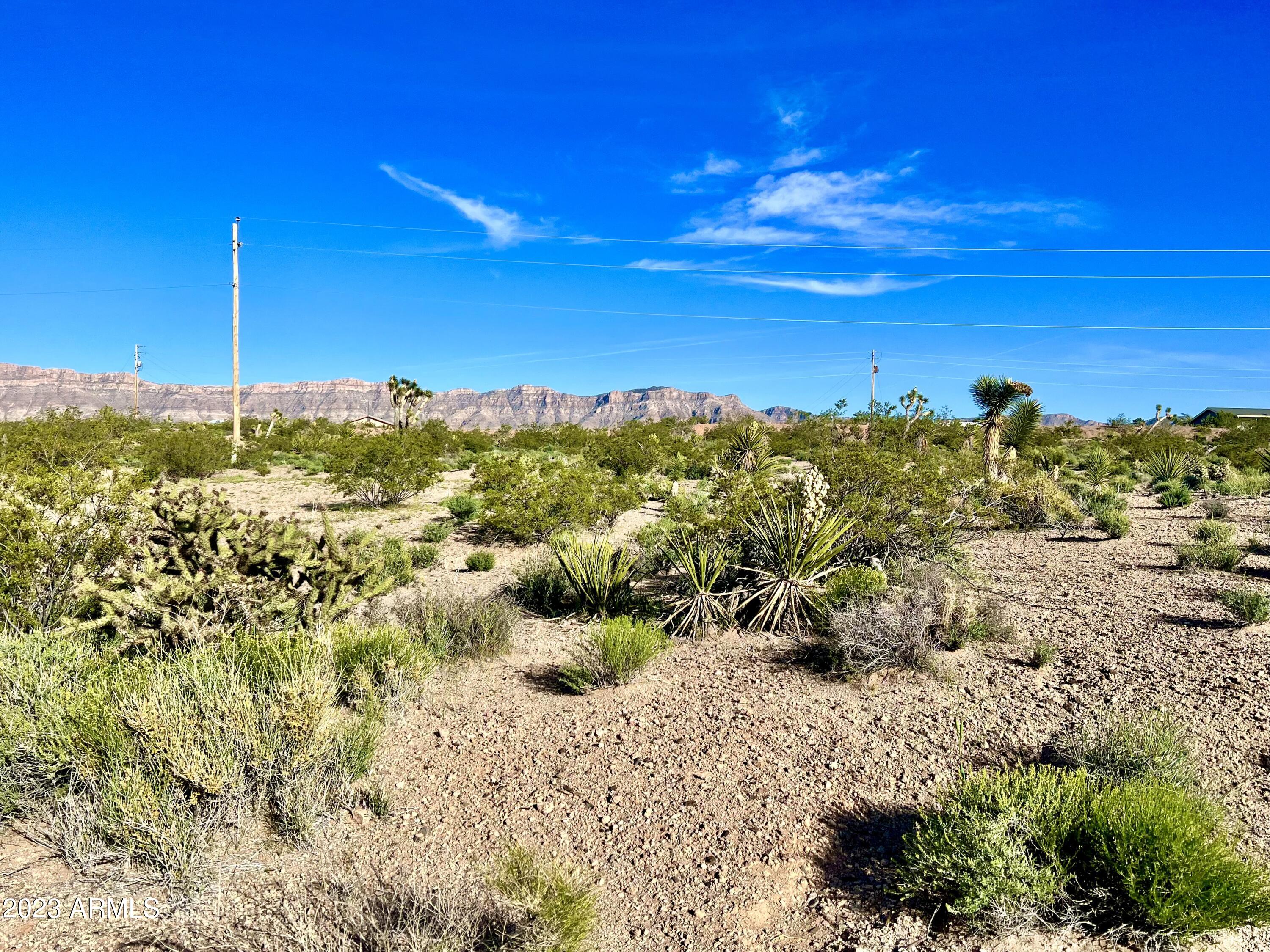 30390 N DUTTON Drive 182