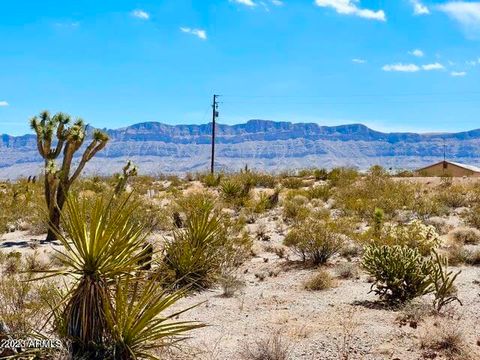 30390 N DUTTON Drive 182 Meadview AZ 86444