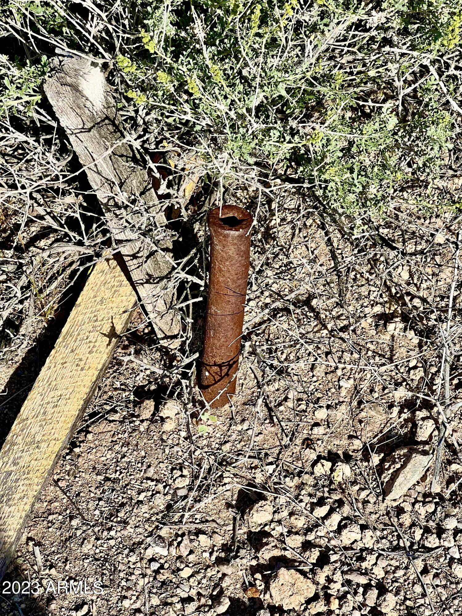 30390 N DUTTON Drive 182