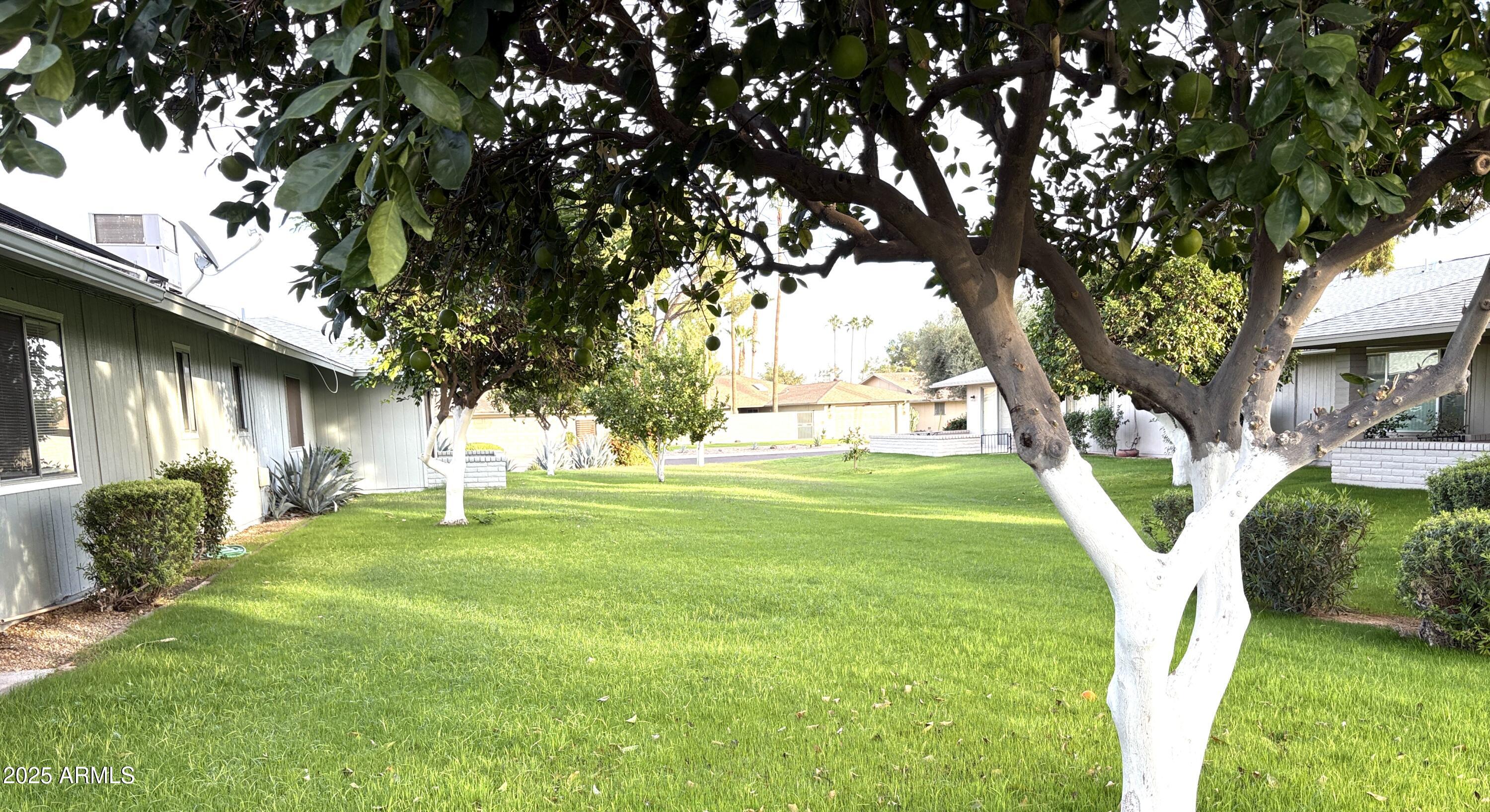 Homes for Sale in Queen Creek Arizona 4 12507 W PROSPECT Drive W