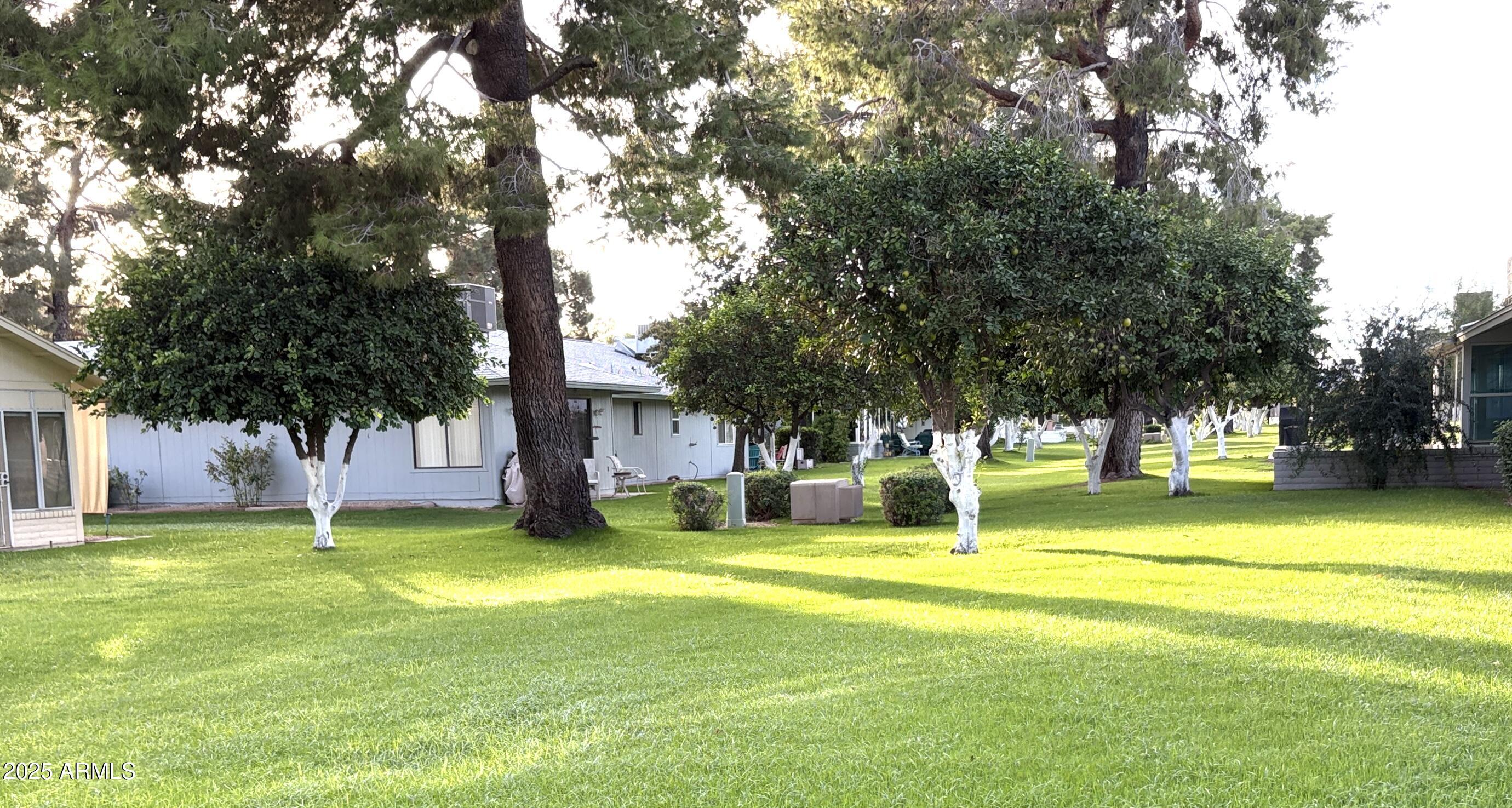 Homes for Sale in Queen Creek Arizona 3 12507 W PROSPECT Drive W