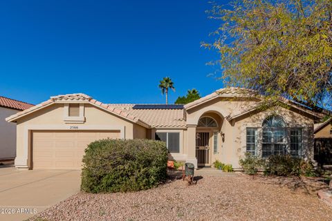 2566 E LYNWOOD Street Mesa AZ 85213