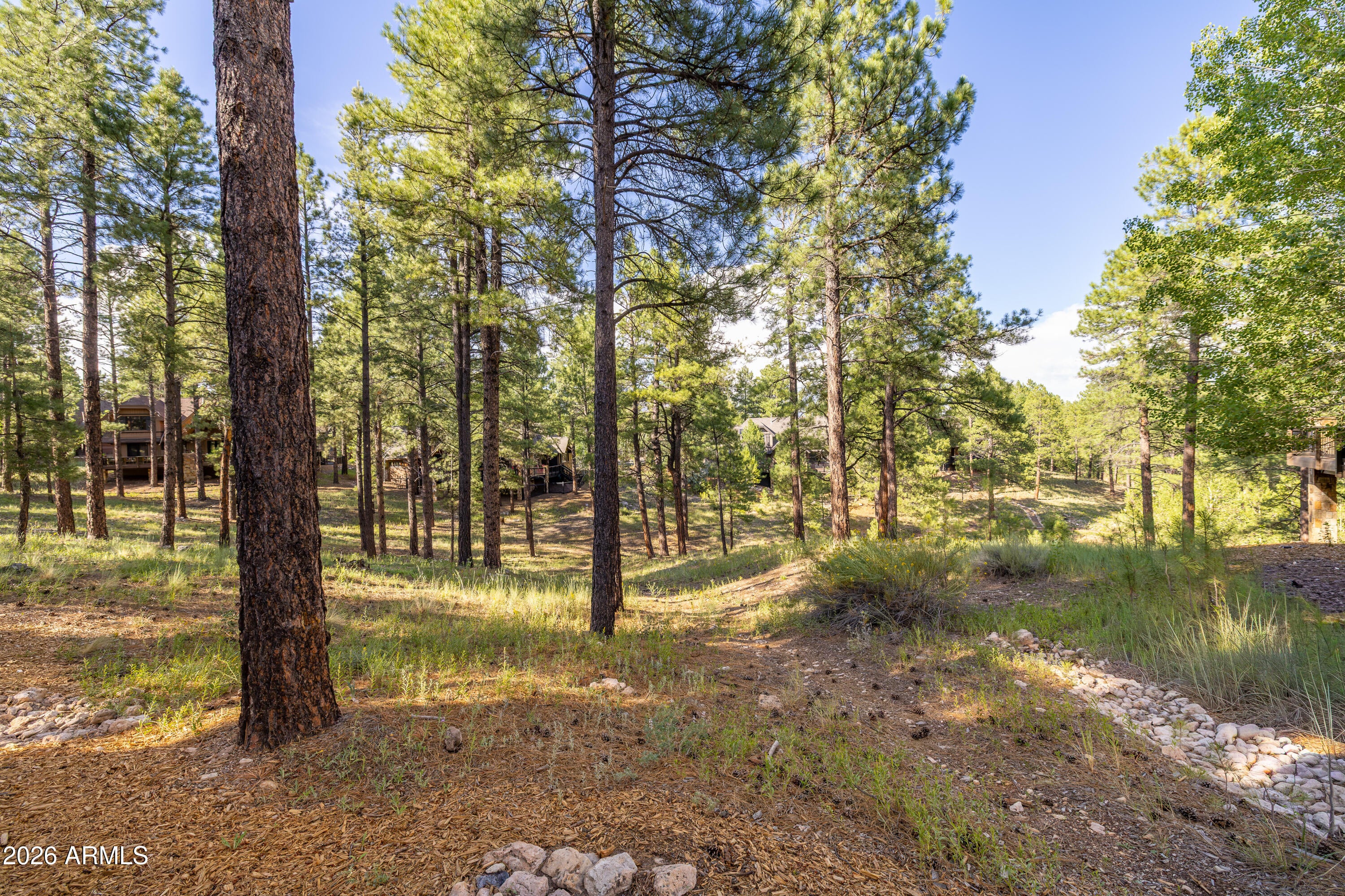 3361 S TOURMALINE Drive