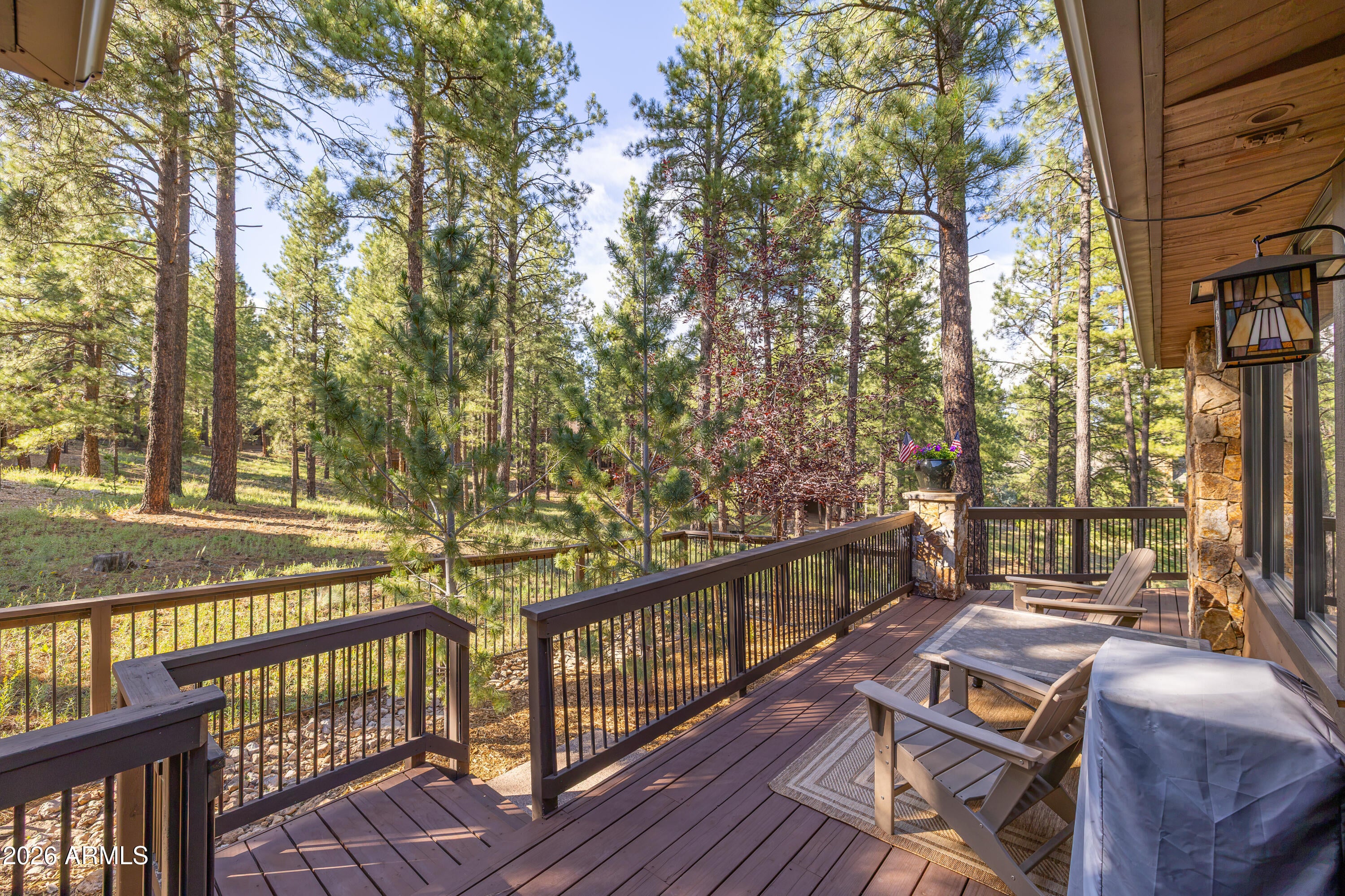 3361 S TOURMALINE Drive