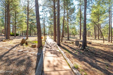 A home in Flagstaff