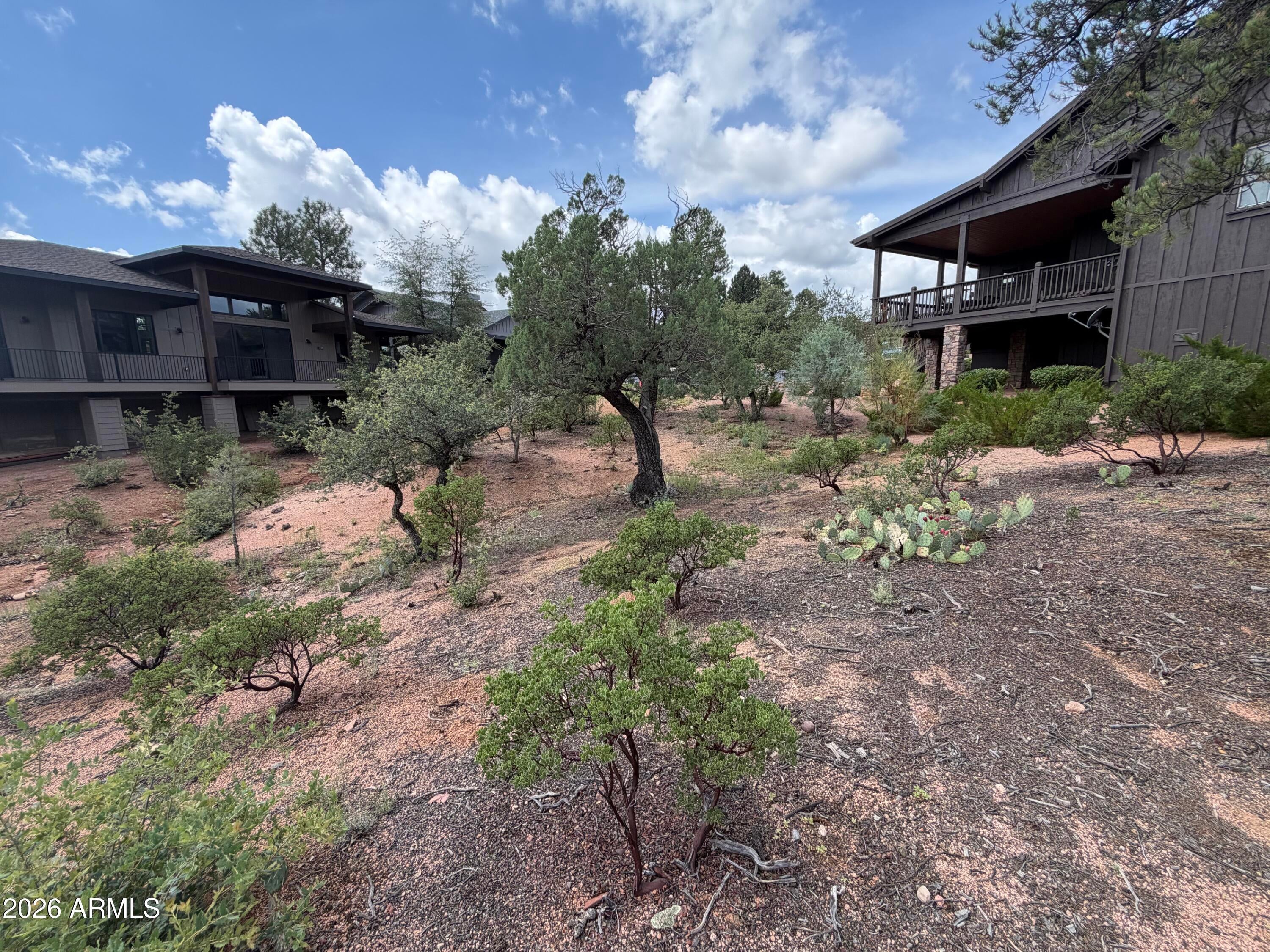 1003 N Purple Aster Court 33