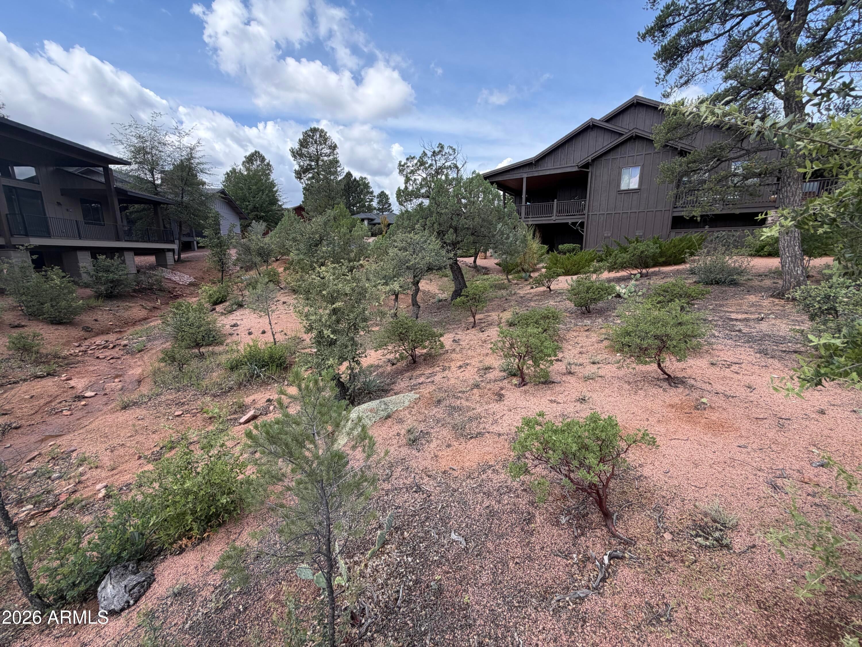 1003 N Purple Aster Court 33