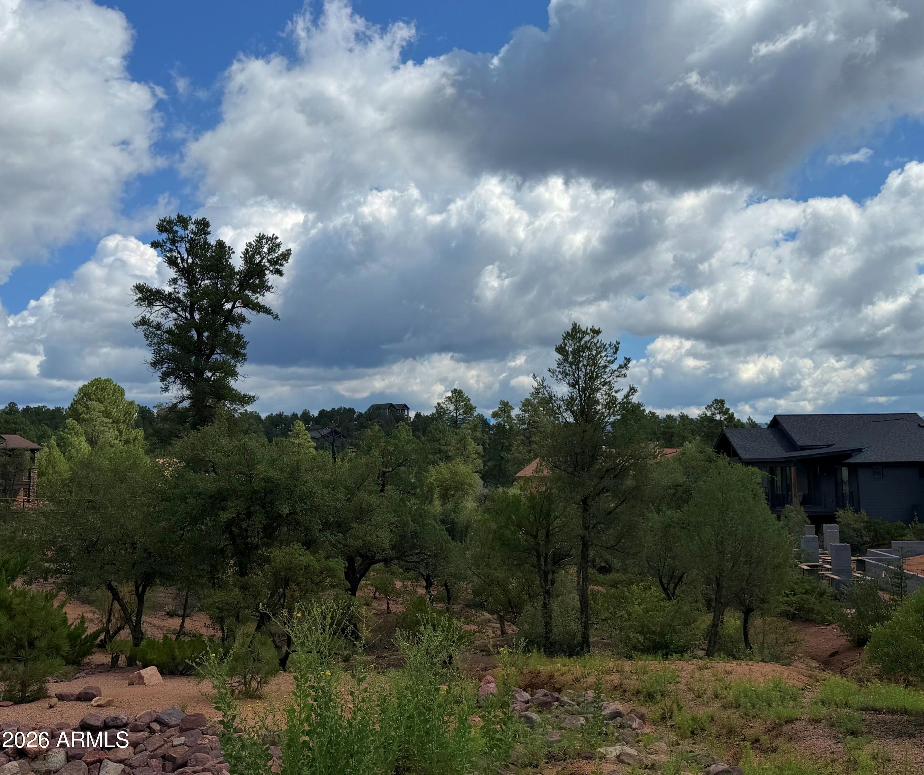 1003 N Purple Aster Court 33