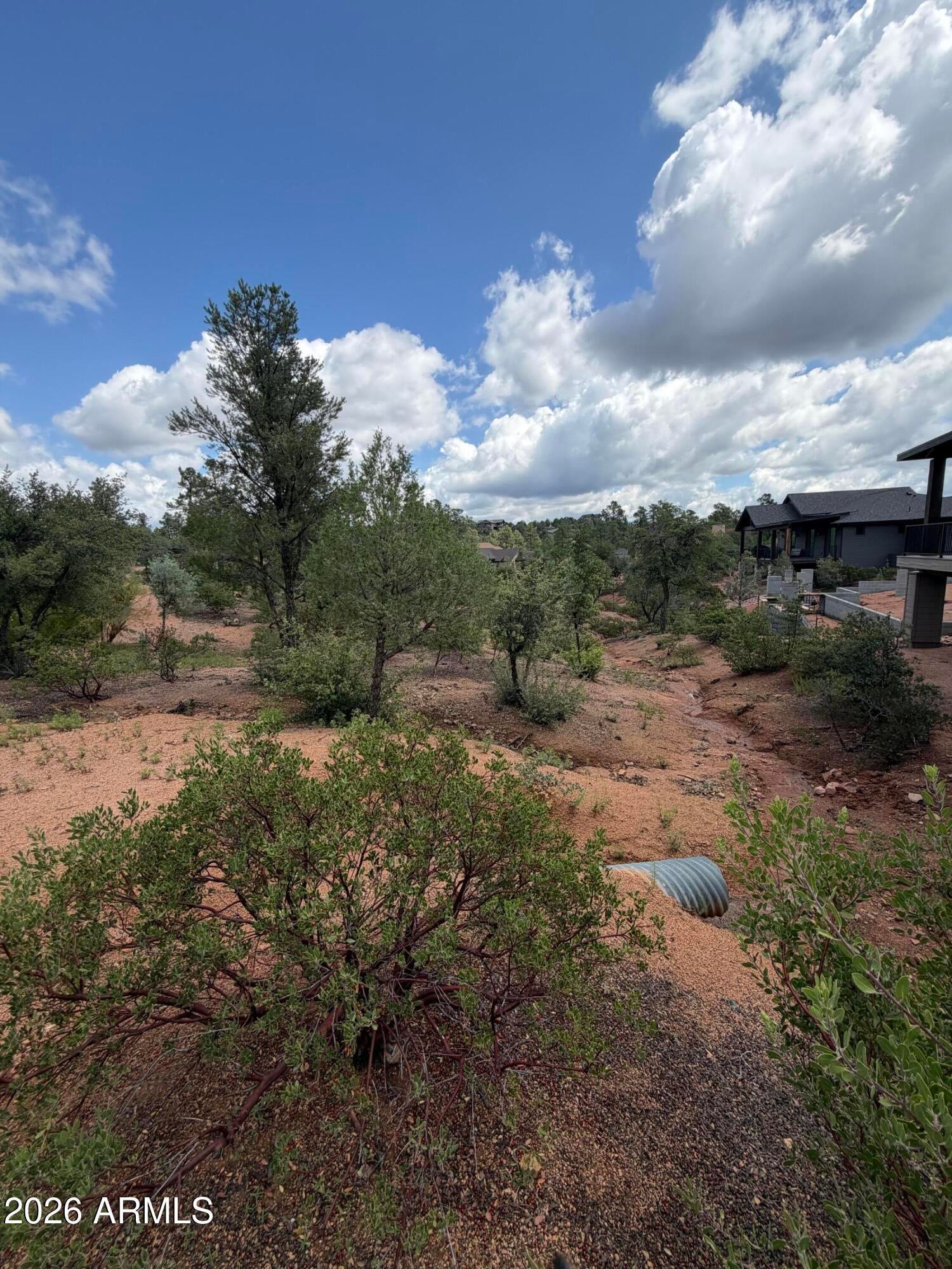 1003 N Purple Aster Court 33