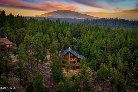 4 COUNTY ROAD N1023 -- Greer AZ 85927