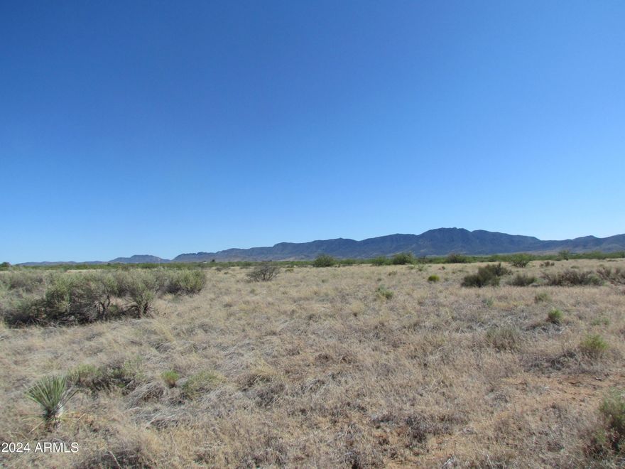 Make your Arizona dream a reality! This vacant land in Pearce is your gateway to your own Sonoran Desert paradise. With 0.82 acres zoned SR-22, the possibilities are endless. Craft your ideal desert escape, whether it's a cozy cabin, a ranch, or anything in between. Awake to breathtaking sunrises over the majestic Dragoon Mountains, a geological wonder right outside your door. Plus, enjoy convenient access to I-10, putting the vibrant towns of Tombstone and Benson within easy reach. This land offers an unparalleled combination of tranquility, scenic beauty, and convenient access to everything the area has to offer. Don't miss out on this incredible opportunity!