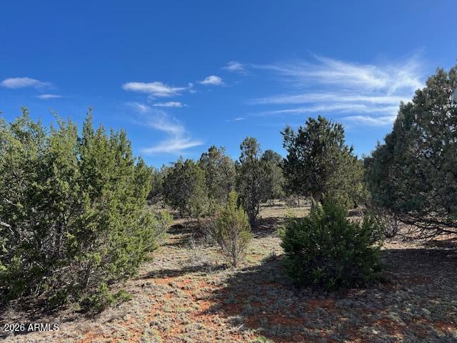 Forest Trails Unit 2 - Land