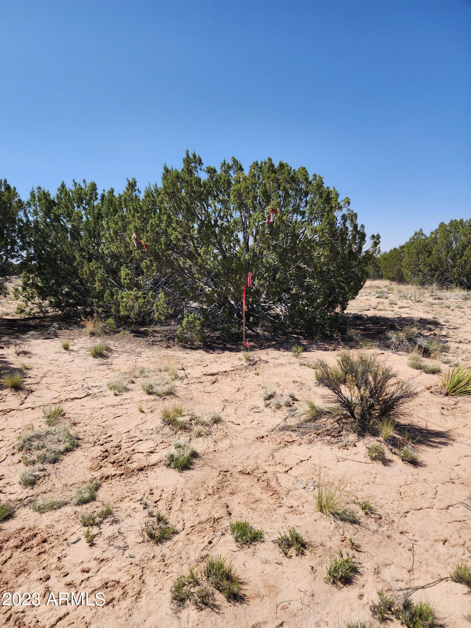 000 N TBD Drive 180-B