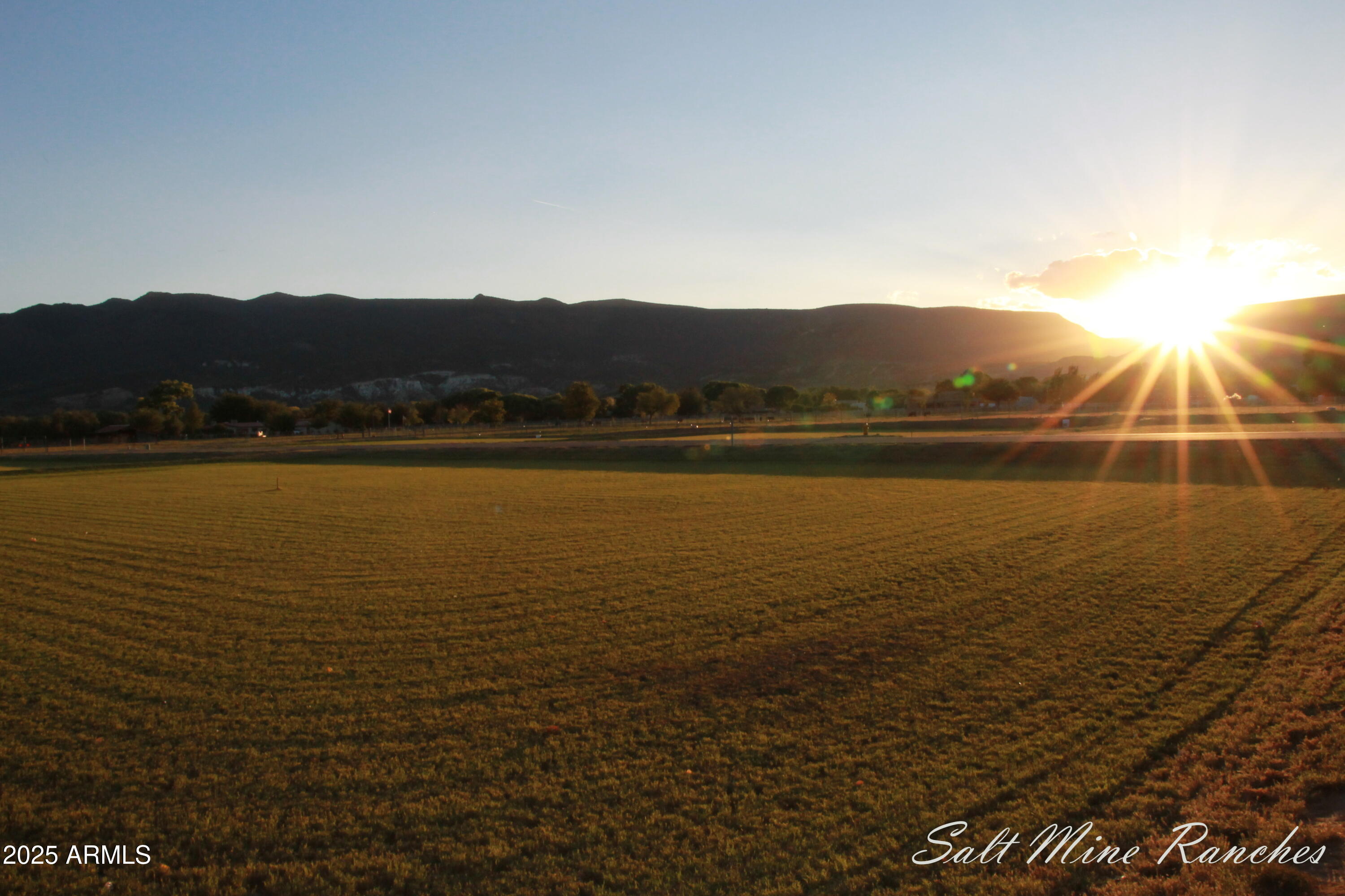 1015 S Clarence Lane 1