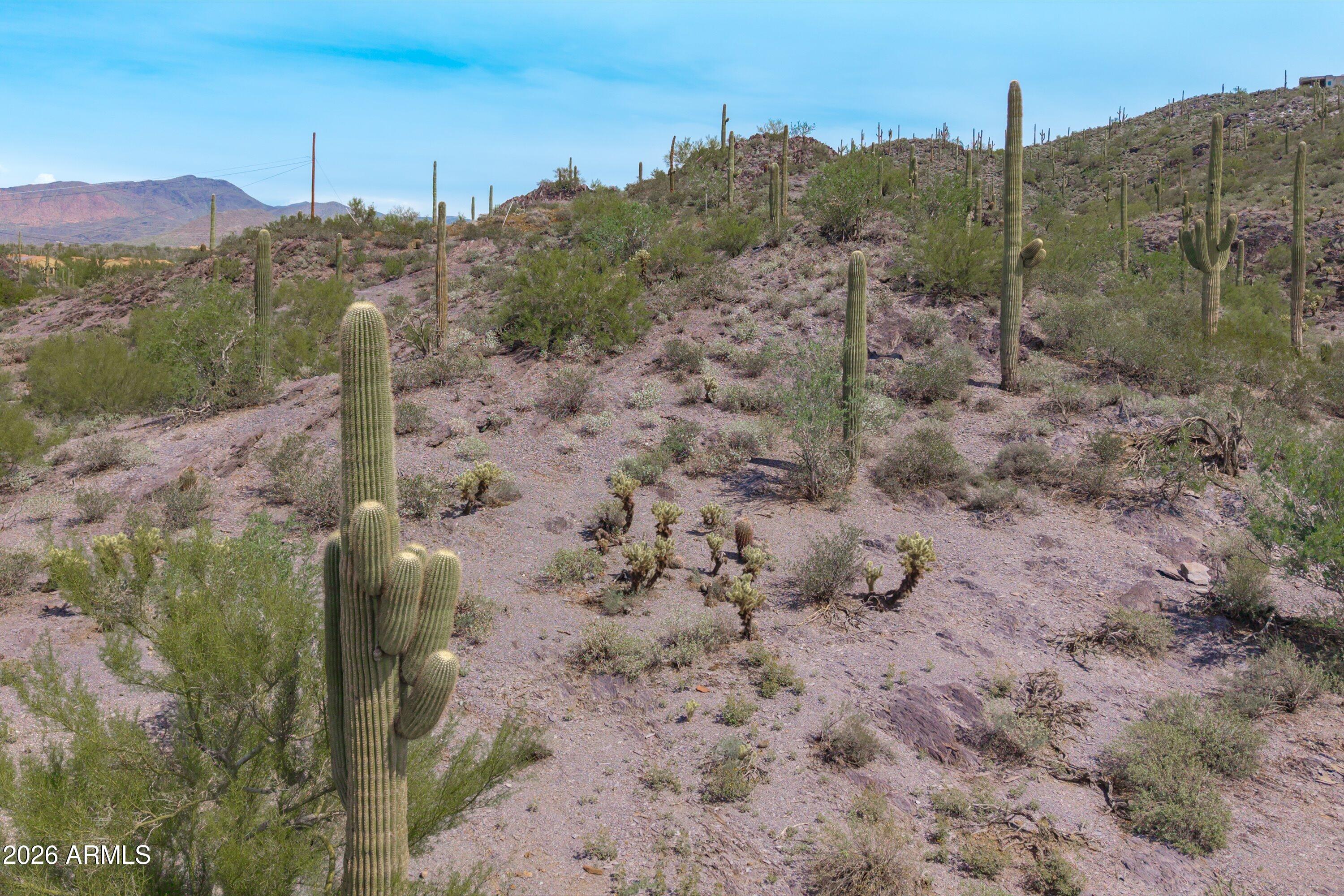 37395 N Sunset Trail -