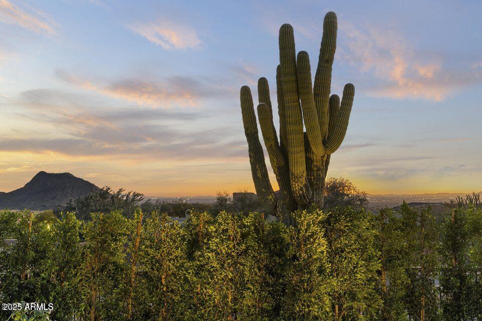 SCOTTSDALE MOUNTAIN - Residential