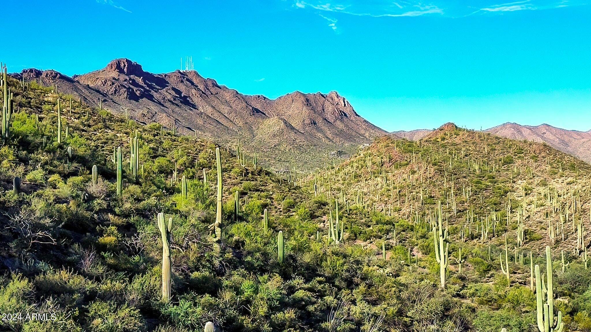 Tucson, Arizona 85745, United States, 4 Bedrooms Bedrooms, ,4 BathroomsBathrooms,Residential,Active,41217