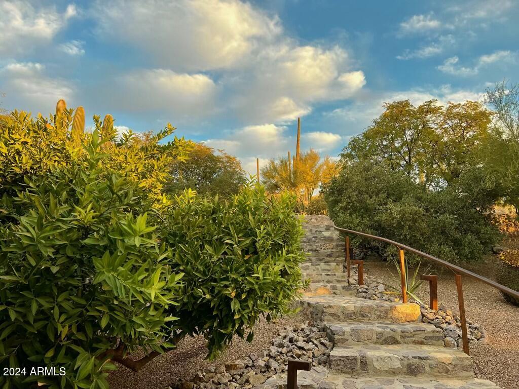 Tucson, Arizona 85745, United States, 4 Bedrooms Bedrooms, ,4 BathroomsBathrooms,Residential,Active,41217