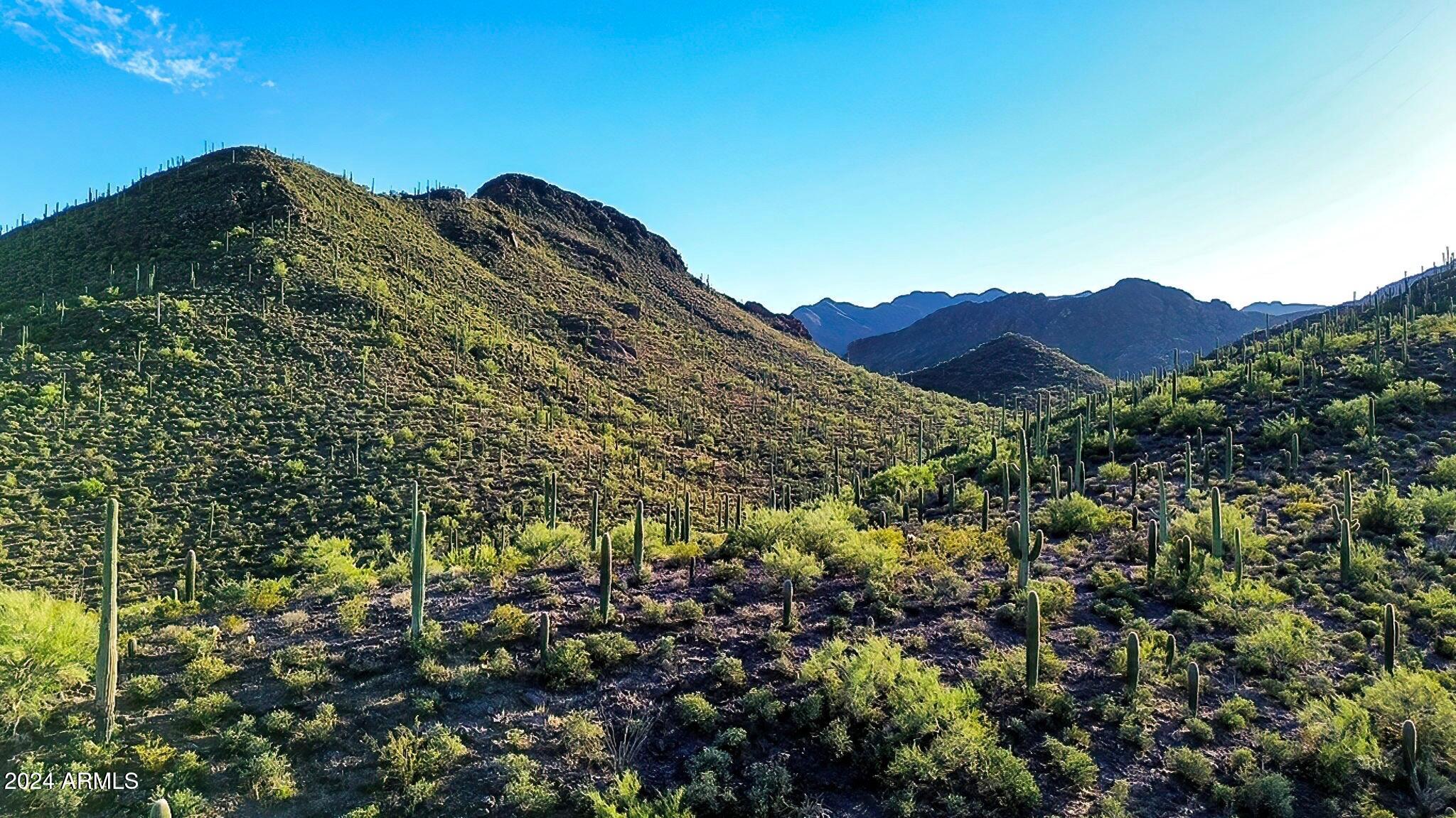 Tucson, Arizona 85745, United States, 4 Bedrooms Bedrooms, ,4 BathroomsBathrooms,Residential,Active,41217