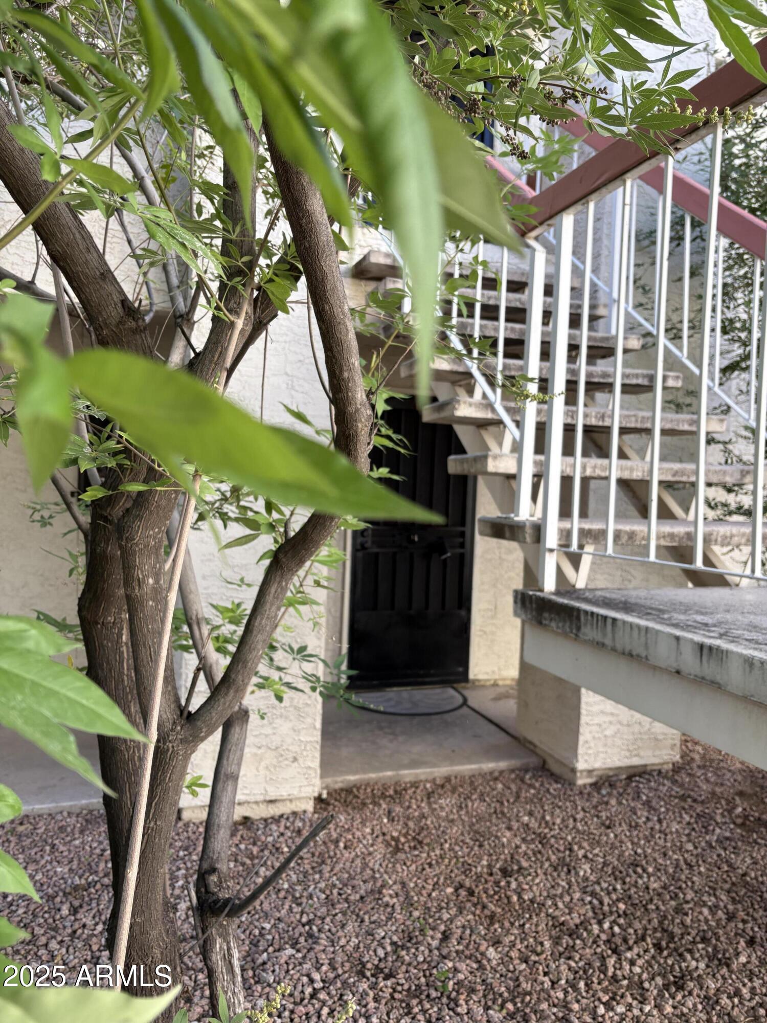 3119 W COCHISE Drive 114