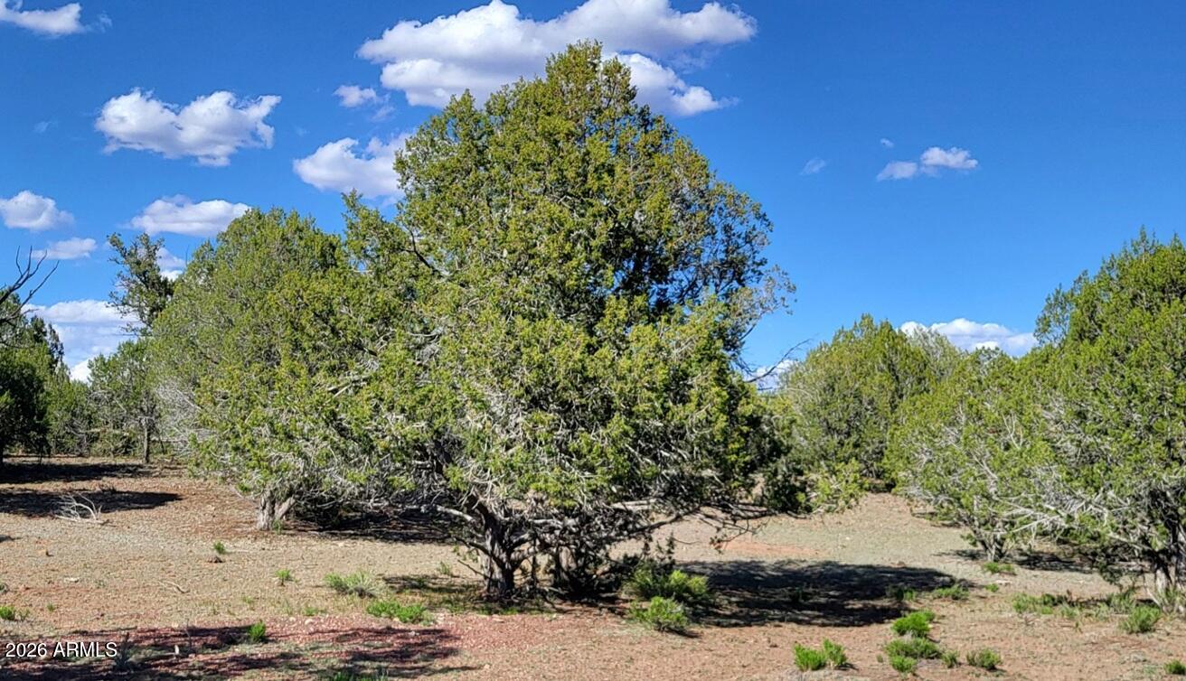 Westwood Ranch - Land