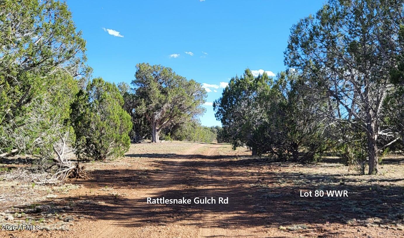 80 S Rattlesnake Gulch -- 80