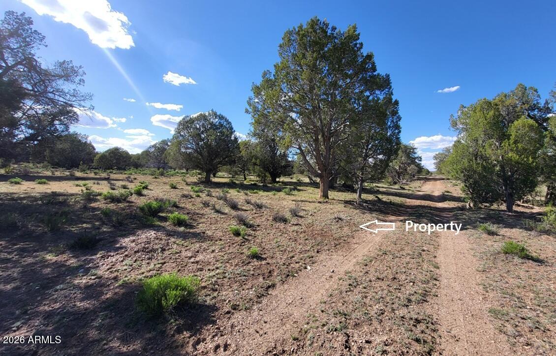 Westwood Ranch - Land