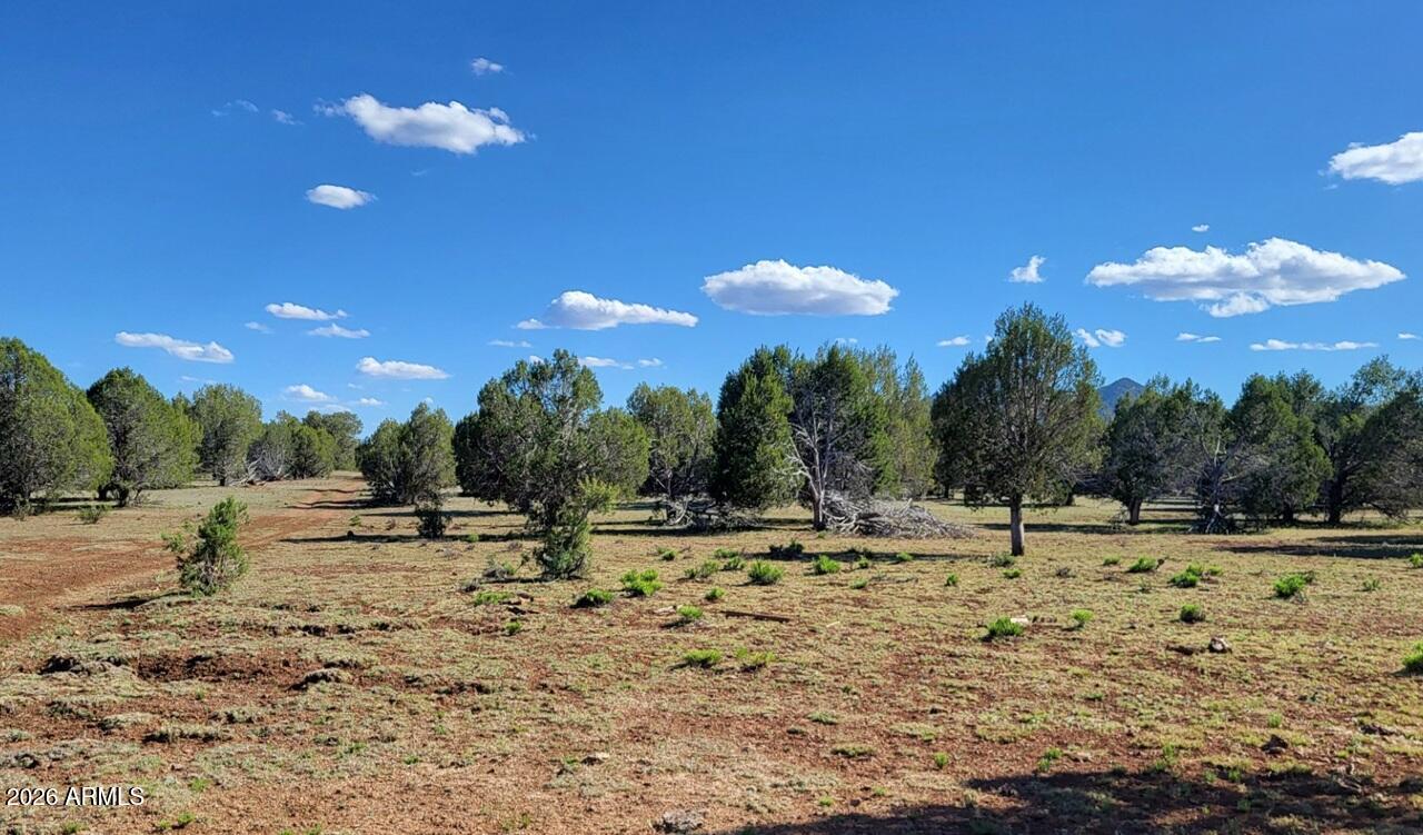 Westwood Ranch - Land