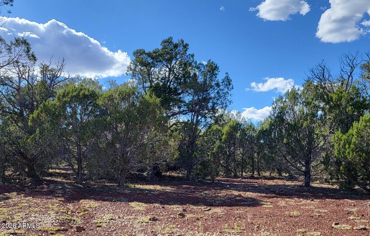 Westwood Ranch - Land
