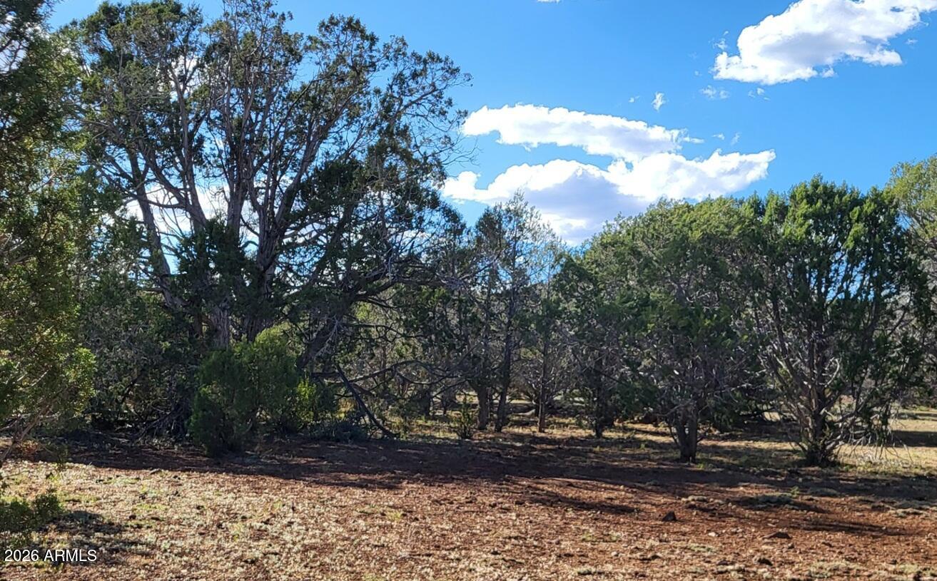 Westwood Ranch - Land