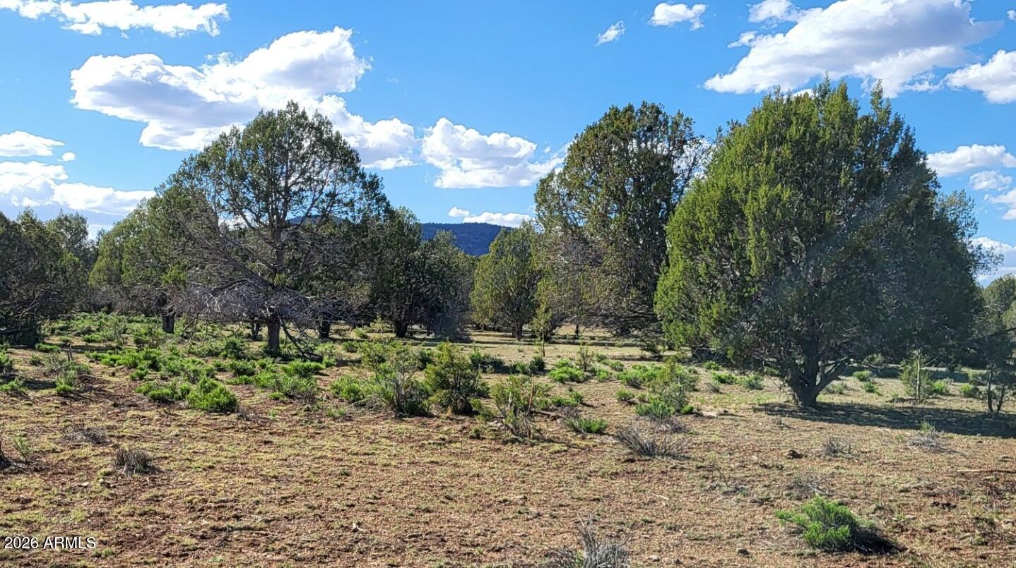 80 S Rattlesnake Gulch -- 80