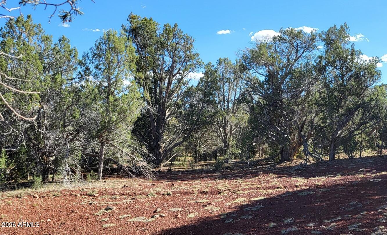 Westwood Ranch - Land