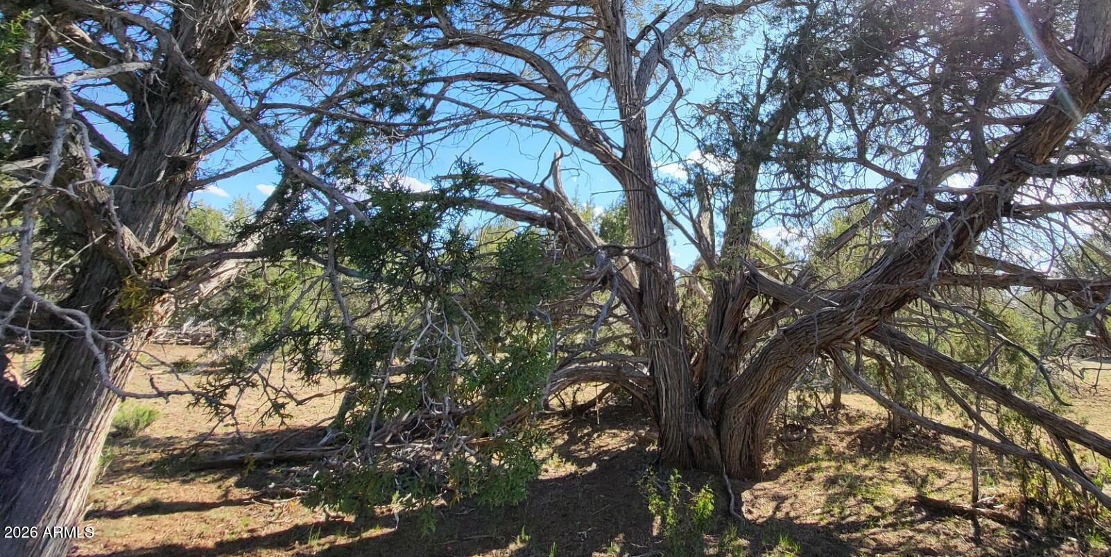 Westwood Ranch - Land