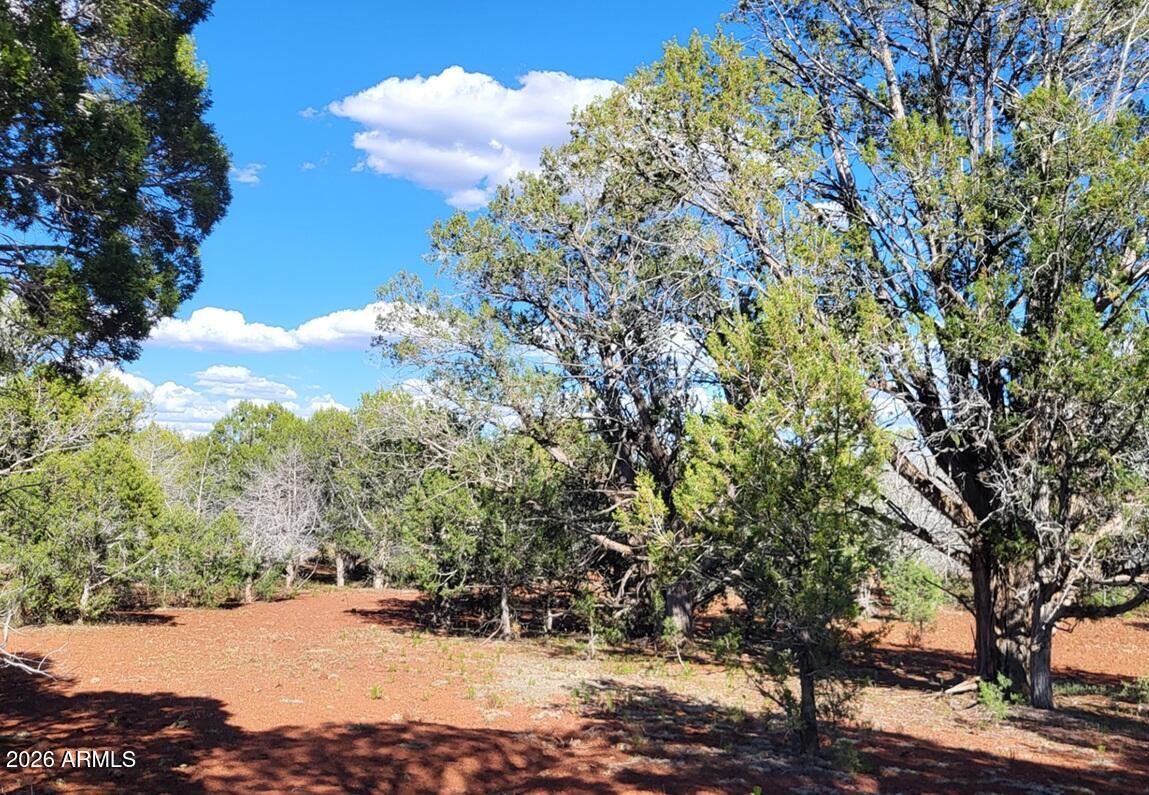 Westwood Ranch - Land