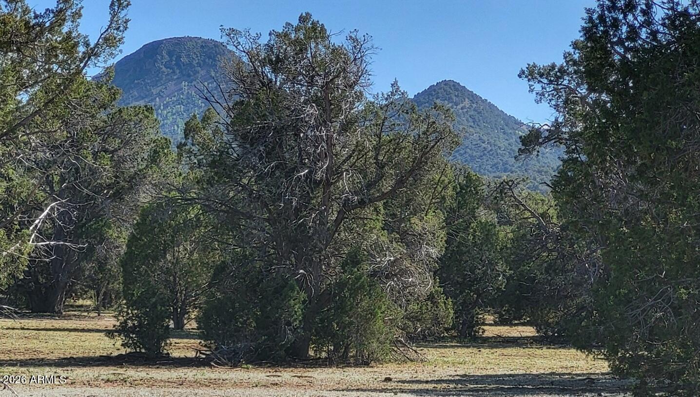 Westwood Ranch - Land